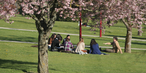 Visit the University