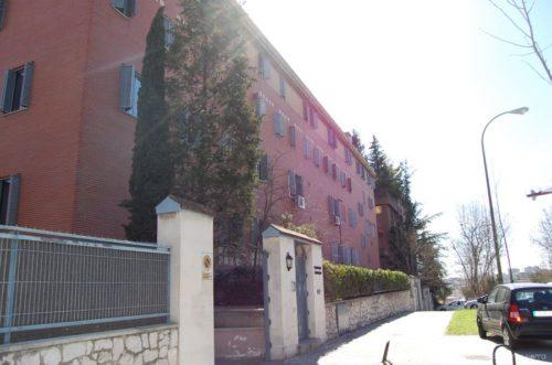 Colegio Mayor Somosierra