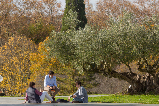 Discounts for large families