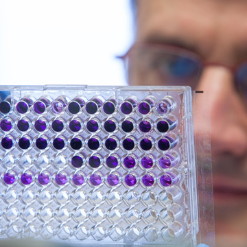 Double degree in Chemistry and Biochemistry