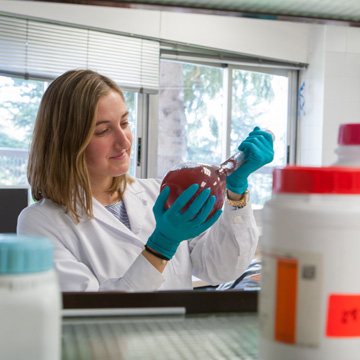 Degree in Chemistry + International Science Program